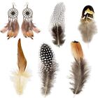 Crafts Earring Decoration Crafts Accessories Decorative Plumes Natural Feathers