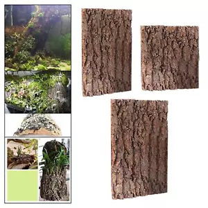 Reptile Background Easy to Cut Cork Bark Backdrop for Spiders Geckos Iguanas - Picture 1 of 33