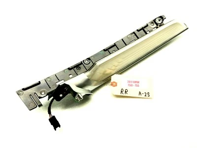 BMW 750I 2016-2019 pasajero derecho puerta trasera luz LED sable moldura OEM. Foto 1 de 4