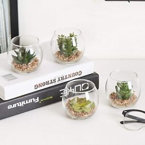 Decorative Mini Desktop Artificial Succulent Plant in Round Glass Vase, Set of 4