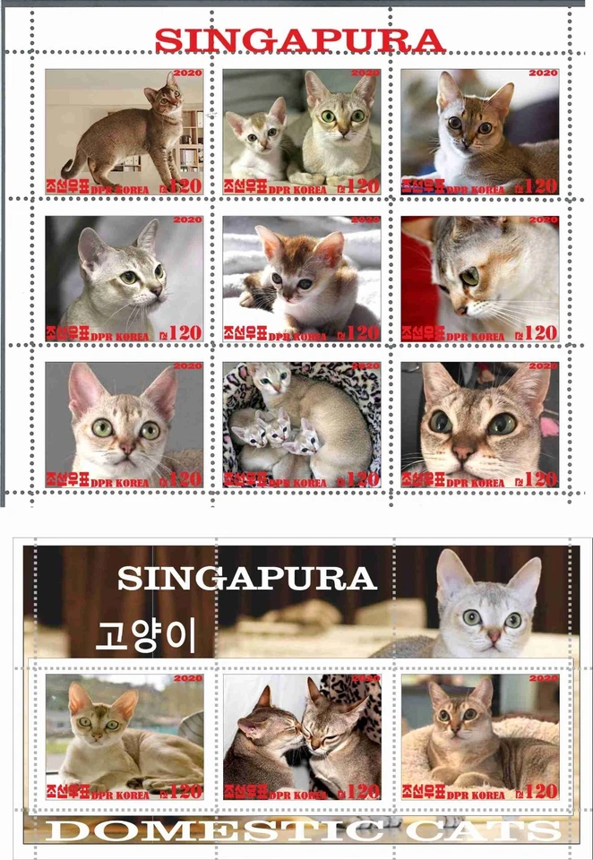 Stamp sheet+block Singapura Cat Korea issue 2020 - Image 1 of 1