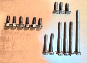 Original Timing Cover & Water Pump Bolts Ford Mustang 289 64 65 66 67 1965 1966 - Foto 1 di 5