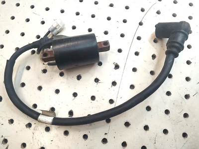 Polaris Switchback RMK Asalto PRO Indy 600 800 Bobina 4014010 2013-2020 Foto 1 de 4