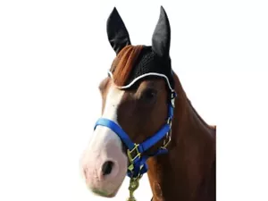 Cofano velo a mosca cavallo Paris Tack Premium Show Uncinetto con pony apertura Forelock - Foto 1 di 2