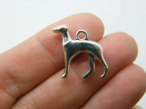 10 Dog greyhound charms antique silver tone A856