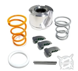 Aftermarket Assassins RZR Pro R 4 cilindros S3 Kit de embrague - Imagen 1 de 2
