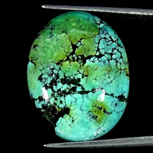 14,00 kt Natürlicher Tibetischer Türkis Oval Cabochon Lose Edelstein 17 x 21 x 5 mm - Bild 1 von 5