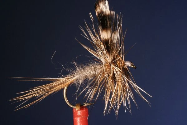 Fliegentom Trockenfliege 3 Stück Adams - Bild 1 von 1