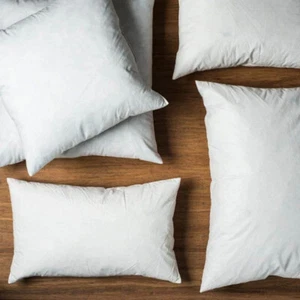 2x Belle Duck Feather Throw Pillow Cushion Insert Stuffer 30x60cm Square White - Picture 1 of 2