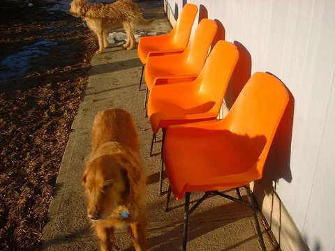 Shamrock Neatway Vintage MCM Mid Century Orange Chairs Set of 4- Rare Arm Chairs Cover