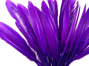 500 Feathers - Purple Duck Cochettes Loose Wholesale Bulk Wing Quill Costume - Picture 1 of 9