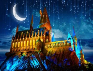 Fantasy Castle Magic Academy Backdrop Meteor Shower Background Studio Props - Picture 1 of 9