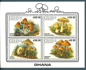 GHANA - BF - 1990 - Funghi (2 foglietti) MNH** - Bild 1 von 1