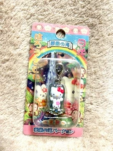 Hello Kitty local charm Nikko limited Kegon Falls version zipper mascot Sanrio - Picture 1 of 2