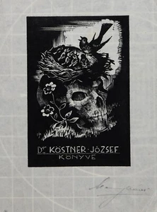 Vtg Art Ex-Libris Bookplate Skull Birds Y0839 - Bild 1 von 3