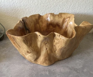 Vintage Live Edge Holz Baumstumpf Natur Wurzelholz Schüssel Gefäß Dekor - 12"x6" - Bild 1 von 8