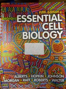 Essential Cell Biology by Alexander Johnson, Martin Raff, Karen Hopkin, - Picture 1 of 1