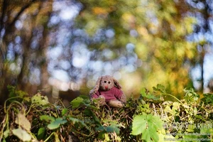 BeLOMO HELIOS 44-3 58/2 | M42 | Sharp and functional - SAMPLES - Picture 1 of 16