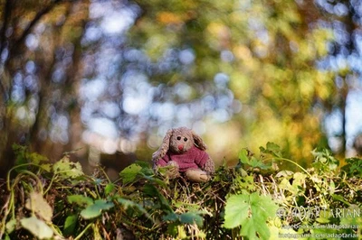 BeLOMO HELIOS 44-3 58/2 | M42 | Sharp and functional - SAMPLES - Image 1 of 4