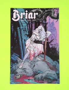 Briar #1 2022 BOOM! Studios Variant fumetto quasi nuovo - Foto 1 di 1