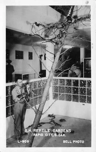 REPTILE GARDENS RAPID CITY SD 1951 RPPC ROADSIDE POSTCARD MAN W/ SNAKE 052525 U - Picture 1 of 2