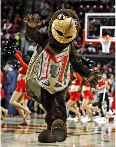 Maryland Terrapins Unsigned Testudo Dancing 11" x 14" Photo - Fanatics Cover