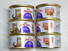 ROYAL CANIN Spayed & Neutered Slices in Gravy _6/3 oz_ Cat food ~EXP:2025~