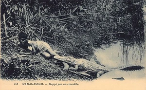 Madagascar - Happé par un crocodile - Ed. L'Oeuvre des Prêtres Malgaches 451 - Picture 1 of 2