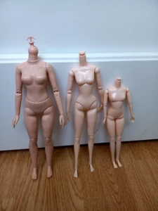 lot de 3 corps poupées articulé billie eilish et 2 pullip - Imagen 1 de 6