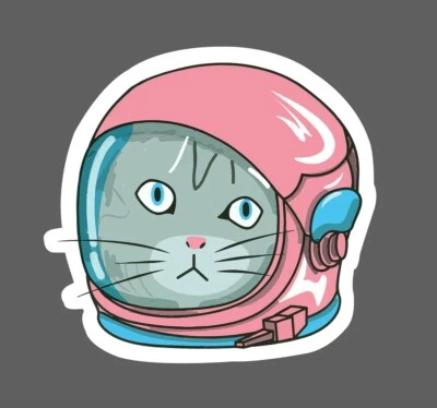 Pegatina gato espacial astronauta rosa impermeable lindo regalo salvaje NUEVO Foto 1 de 3