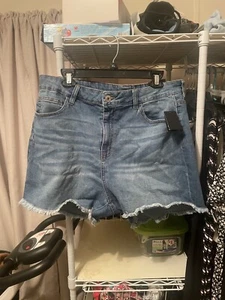 Fashion Nova New Denim Shorts Size 16 - Picture 1 of 2