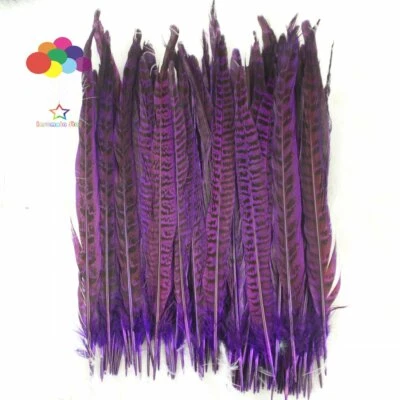 Dyeing Colour 25-35 CM/10-14 Inch Pheasant Feathers DIY Craft Ornaments Pendant - Image 1 of 4