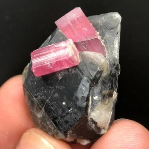 96 Carats Very Unique Quality Tourmaline with Quartz Specimen @ Afghan - Picture 1 of 9