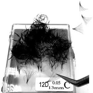 20D/10D1000 fans Pre made Russian Volume Fans Eyelash Extensions Rich Black Soft - Picture 1 of 6