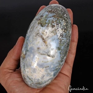 3900 Cts Dendrita Natural Musgo Ágata Druzy Cristal Mineral Curativo Huevo Piedra Preciosa - Imagen 1 de 7