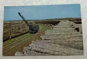 Pulp Wood Stack Northern Minnesota. Postcard (G2) - Picture 1 of 2