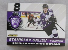 2013-14 Reading Royals ECHL Stanislav Galiev Hockey Card