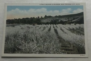 Postal de un huerto frutal en flor, cerca de Traverse City, Michigan (A3) - Imagen 1 de 2