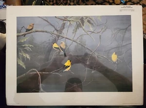 "The Gathering American Golden Finch" by MARCUS C. Thomas S/N  1993 21.5" X 16"  - Picture 1 of 5