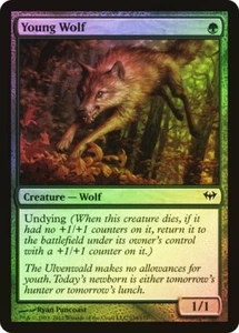 1 x FOIL Young Wolf MTG Dark Ascension NM Green - Picture 1 of 1