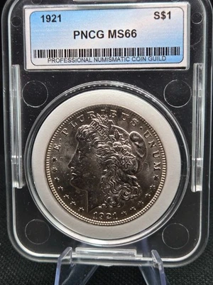 1921 Morgan Silver Dollar – PNCG Mint State 66 – Vault-Stored Final-Year Revival - Image 1 of 4
