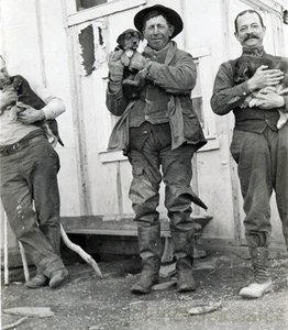 1910 Yukon Terr Alaska Trappers Hunters Hold Pups Sled Dogs Snow 2 photo Lot - Picture 1 of 4