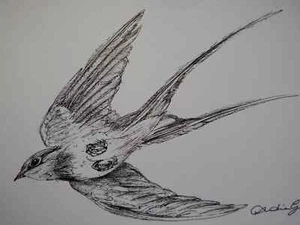 Original Small Hand Drawn Pen & Ink Drawing Sketch of a Bird Swallow in Flight - Picture 1 of 8