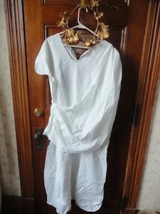 Toga Costume Adult Size w/ Leaf Crown One Size Fits Most - Picture 1 of 3