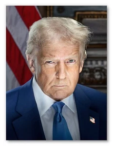 Donald Trump Official Presidential Portrait Photo Picture Poster Print Wall Art - Picture 1 of 1
