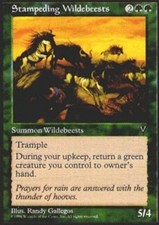 Stampeding Wildebeests Visions 2x - Near Mint, English MTG Magic
