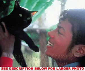 MICHAEL JACKSON 1984 con GATO NEGRO (1) FOTO RARA 8x10 - Imagen 1 de 1