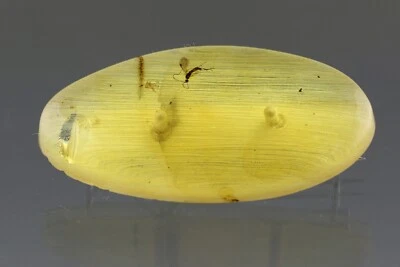 Broche y colgante fósil de plata ámbar báltico genuino 7g 210204-2 Foto 1 de 4