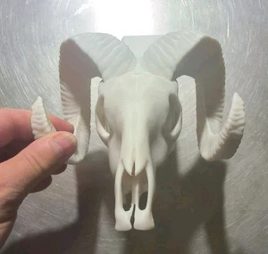 Einschub AHK   WIDDER  - SCHÄDEL SKULL     Schutzkappe Anhängerkupplung Schutz  - Picture 1 of 3