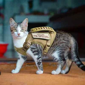 Tactical Cat Harness For Walking Escape Proof Pet Vest Harness Soft With Handle - Picture 1 of 30
